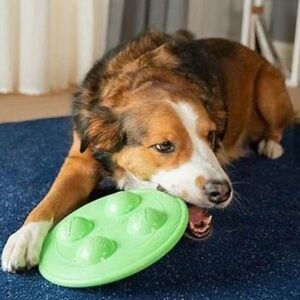 Wham-O Frisbee Sqeaksbee Dog Frisbee Green New